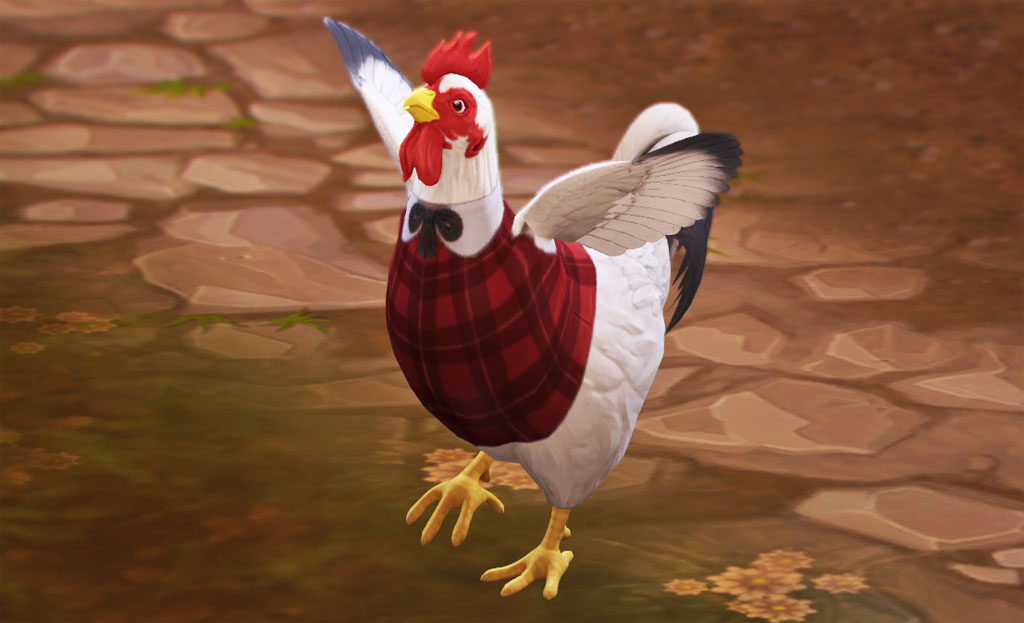 gvp5xhc.jpg