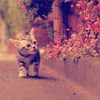 09afeca808899673f41d307c8cf0cebd.gif