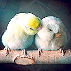 CpJqVfA.png