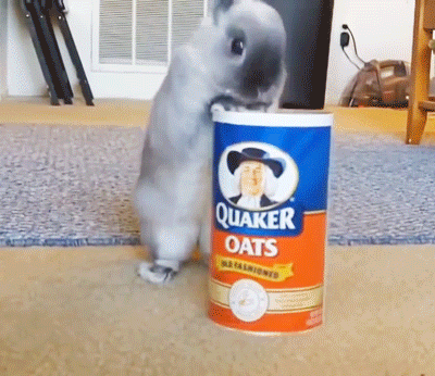 9qyrcRH.gif