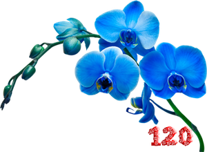 0_fb3e6_95d72e90_M.png