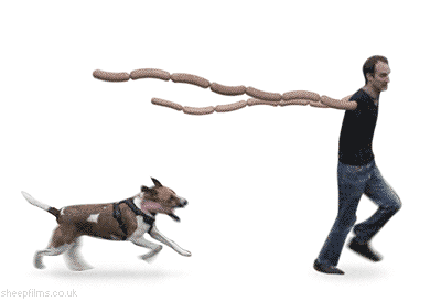 1349864654612.gif