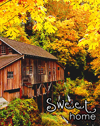 58b18a0ad5241636fc69bfc1a12bea8f.png