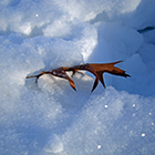 96b98df14d17370b1a095052820ec5de.png