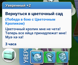 64Z9c55.png
