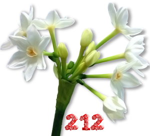 0_fb442_77372189_M.png