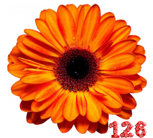 0_fb3ec_a8439754_M.png