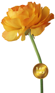 dd99551d450f71f657898bfc5dc168c9.png