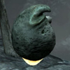 snkd1y2.jpg