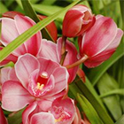 0_d4405_d3ef8228_orig.jpg