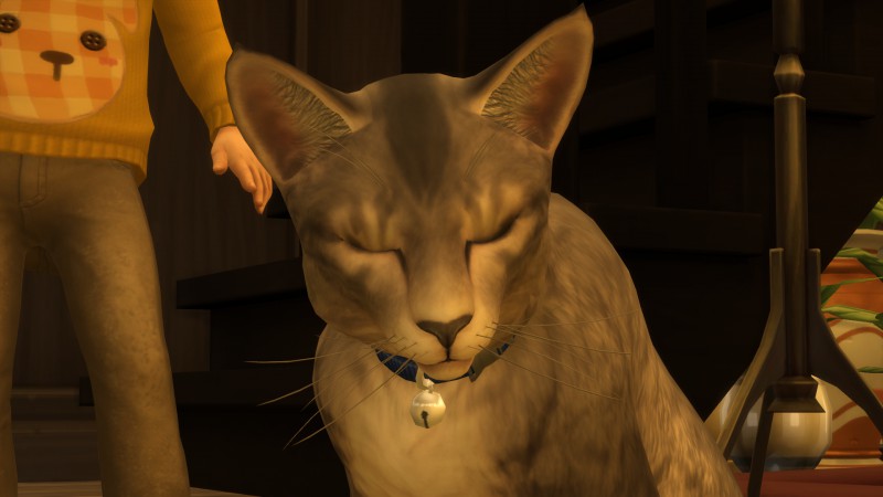 2ba65eb2a48787c9dbf722c03ce3855b.png