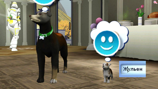 TS3-W-2019-03-30-15-02-47-91.jpg