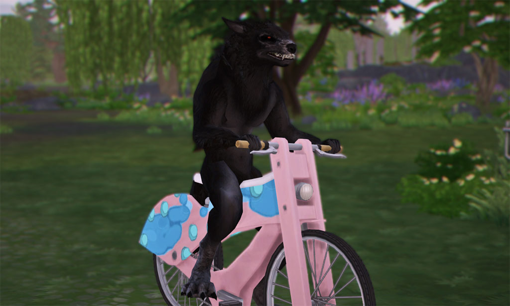 putwEc3.jpg
