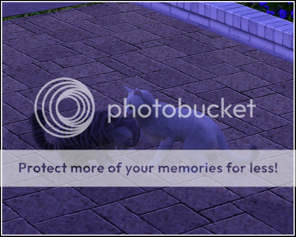 Screenshot-153.png
