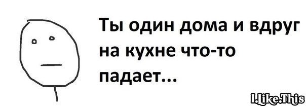 x_b33302f6.jpg