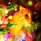 1bef13cbb464630ff7c24474df7207bb.png