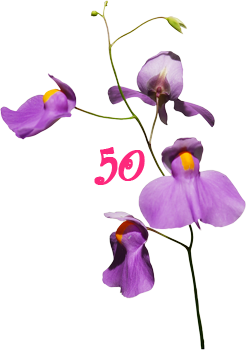 0_131bad_6ea6c7a7_orig.png