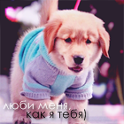 5ff0322c0300b09cf3e78298af0770dd.png