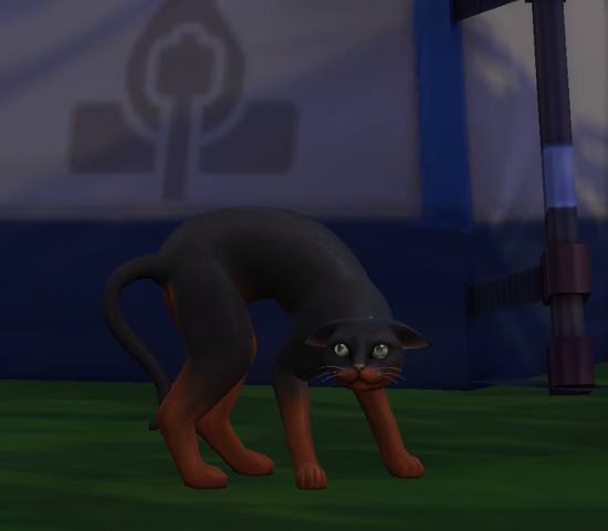 28496426_m.jpg
