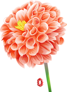 0_fb36e_4262d451_M.png