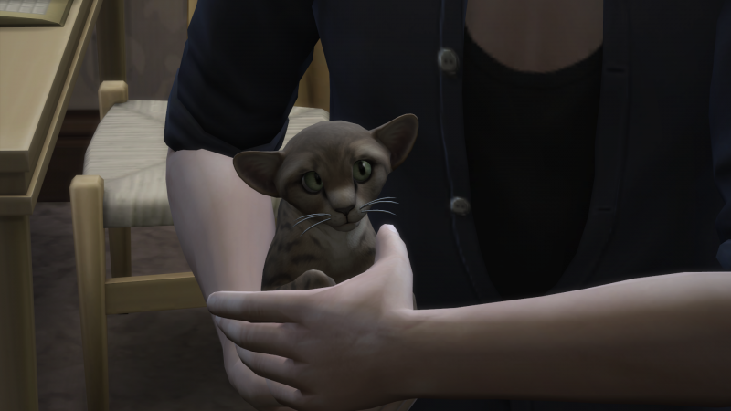 TS4-x64-2019-07-20-00-20-00.png