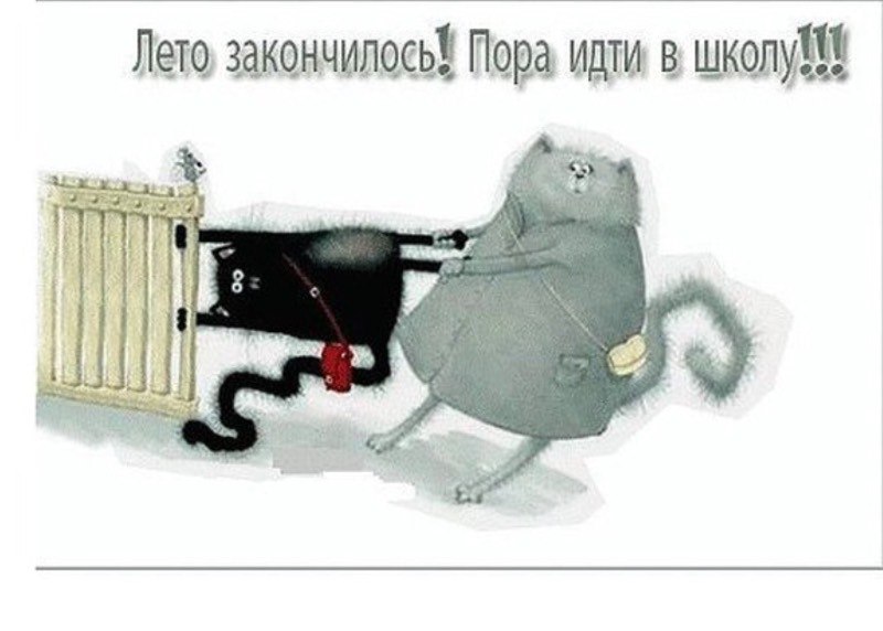 mo-XjuiREBM.jpg
