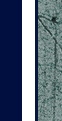 dFeobIcRjM0.jpg