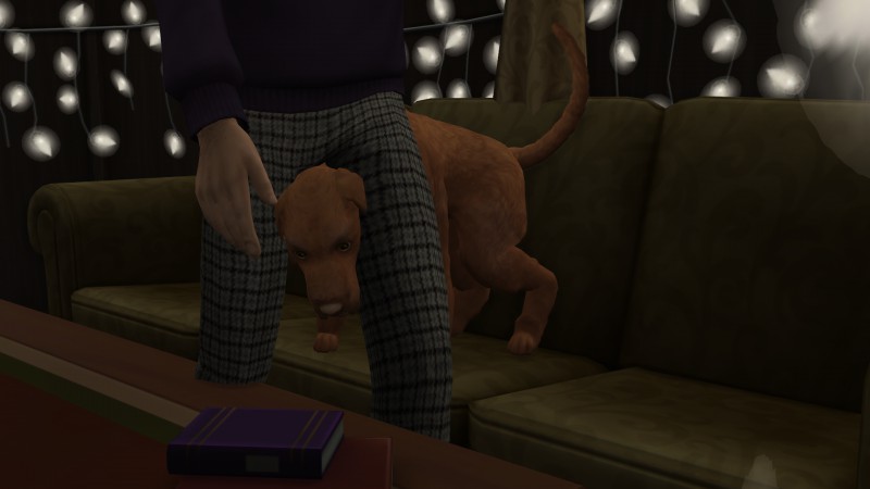 d7398c9e913ccc54f4f6c676d3d1dfe0.png