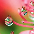 0_d4404_3a409947_orig.jpg