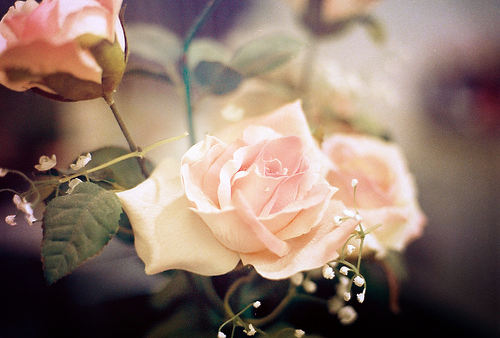 46a33603a1cac4976204e99f0eb869b2.png