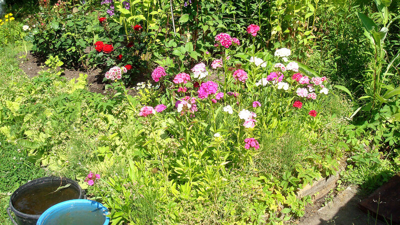 0_ff291_ebcaf70f_XL.jpg
