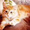 ef8cef7865ca47d191b8a67e4a8f2dcd.png