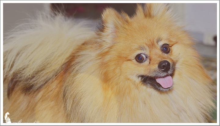0_166192_57a1f8e7_XL.png