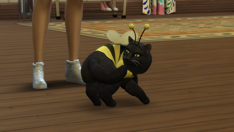 oXmuMGu.png