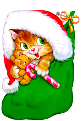 c74aaf18cf3f11be3b38b08d5911660b.png