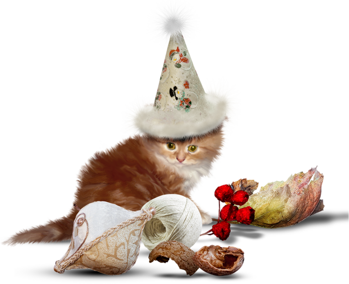 22a2d88bedbfddf0fc4028041d044331.png