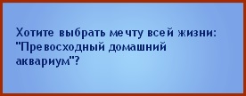 NPGPPJh.jpg