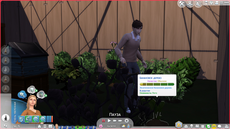 4-17-Caleb-In-Garden.jpg