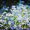 fc3d48620975c73c95822d81cf62178b.png