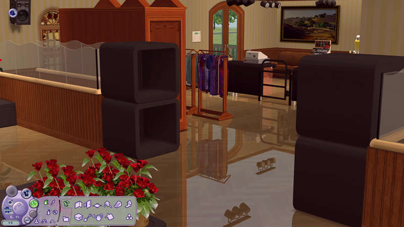 Sims2-EP3-2020-02-09-09-18-31-00.jpg