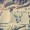 8bcfb8dbf449754c71003844d1d9a8ce.jpg