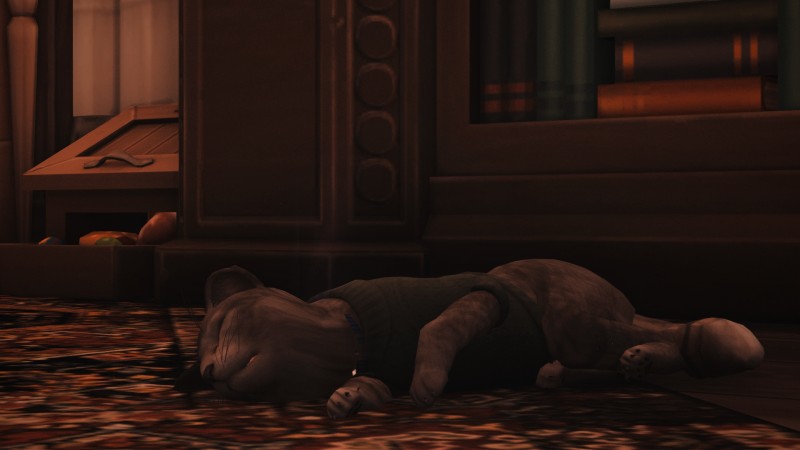 c409012667d32a1634eb68e1d3c84609.png