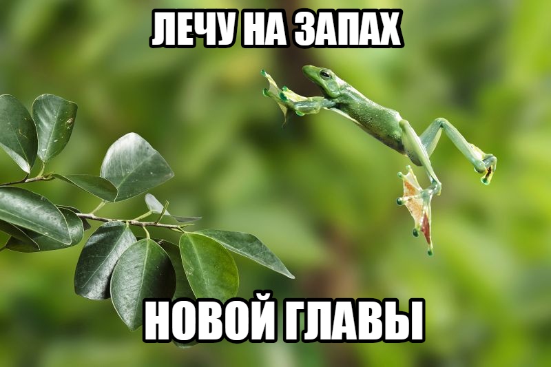 BEWgDtU2y-w.jpg