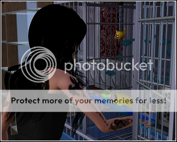 Screenshot-167.png