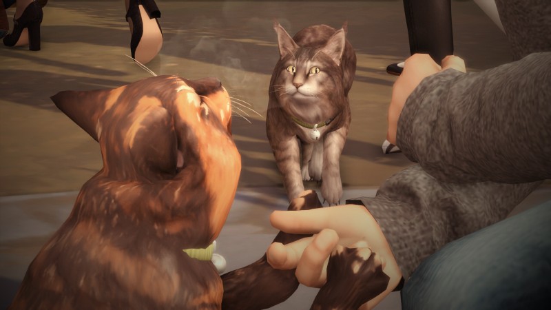 7fe127bb94b1e2e705fe0c7a06707656.png