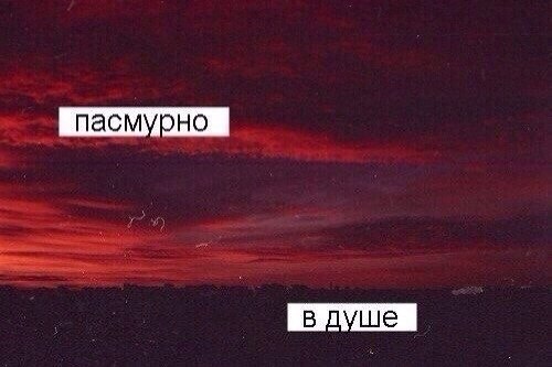 BcK_dltOmIQ.jpg