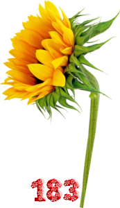 0_fb425_c2f6d4e4_M.png