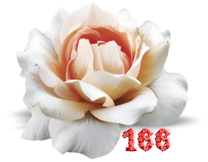 0_fb414_62cc19f4_M.png
