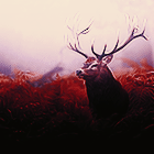 0_120f6e_3e5e5313_orig