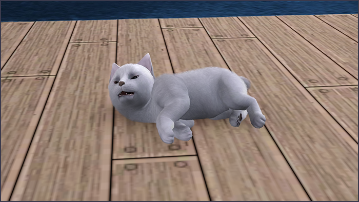 0_d85c8_c29a50b8_XL.png